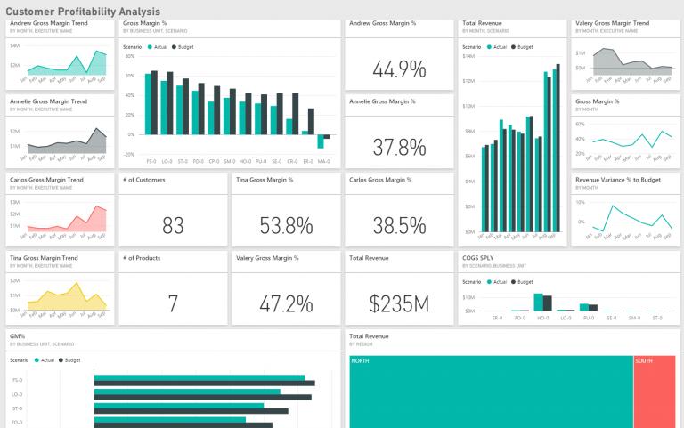 Customer level profitability dashboard with drill downtable + charts