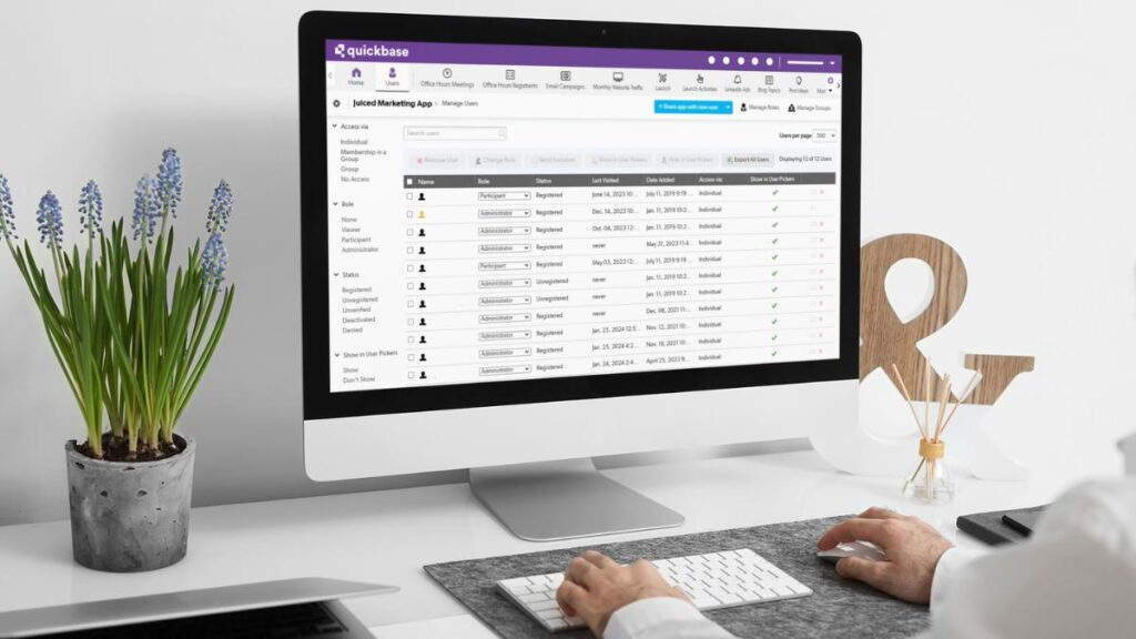 Role based permissions in a custom web application for business users